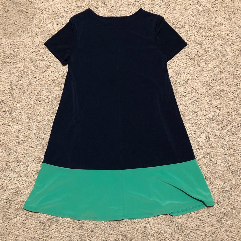 Cute, simple shift dress. Navy and light green